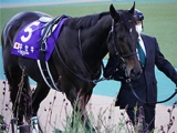  キセキ　有馬記念で引退、種牡馬へ　辻野師「有馬記念へ向けて全力を注ぎたい」