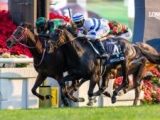  【JRA】ラヴズオンリーユー、ピクシーナイトなど香港国際競走に出走の日本馬12頭が帰国