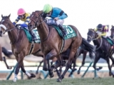 オニャンコポンは『偉大な者（アカン語）』…2022年皐月賞特別登録馬の馬名意味・由来一覧