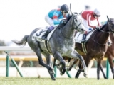  【東京6R新馬戦結果】武豊騎手騎乗アルゲンテウスが追い込み決めデビュー勝ち
