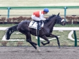  【東京4R新馬戦結果】ドゥラメンテ産駒ショウナンダールが6馬身差でデビュー勝ち