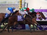  【JRA】マルシュロレーヌが引退、繁殖馬に　BCディスタフで日本馬初の海外ダートG1制覇