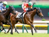  【東京5R新馬戦結果】8番人気ロッソランパンテが接戦を制す
