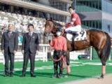  【POG】サイバー藤田氏所有の良血馬が日曜新潟5Rに登録　父は生涯無敗の米三冠馬、近親にカジノドライヴなど活躍馬多数