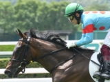  【次走】「薔薇一族」の2歳牝馬アロマデローサはききょうSへ　7月小倉の新馬戦を快勝