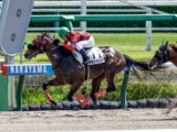  【中山4R新馬戦結果】シャンハイボビー産駒トモジャシーマが2番手から押し切る