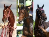  【阪神JF想定】ラヴェル、ドゥーラ、ウンブライル、リバティアイランドなど精鋭2歳牝馬29頭が登録予定
