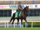  【香港ヴァーズ】出走10頭の馬体重発表　グローリーヴェイズ457キロ・ウインマリリン474キロ