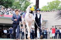  【安田記念】白毛のアイドル、ソダシは7着　送り出す最後のレースとなった今浪厩務員は白いネクタイを着用