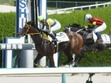  【阪神4R新馬戦結果】ホッコータルマエ産駒のストームバンガードが差し切りV！