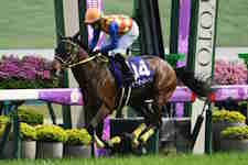 天皇賞(春) 歴代優勝馬・騎手一覧