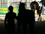  「あなたの愛馬は引退したらどこへいきますか」引退馬支援トークショー、横浜赤レンガ倉庫にて開催