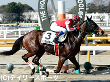 JRA騎手課程卒業式】藤田菜七子さんが模擬レース最終戦をV | 競馬ニュース - netkeiba