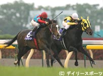 アグネスタキオン産駒ロジックが競り勝つ