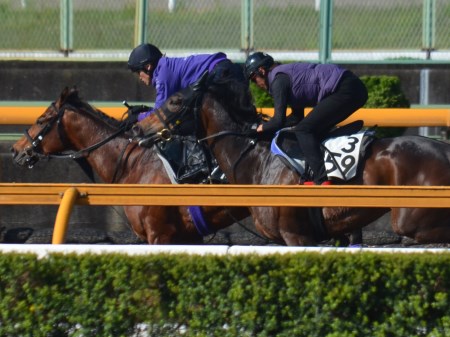 マカヒキ 日本ダービー2週前追い切り速報 栗東トレセンニュース 競馬ニュース Netkeiba Com