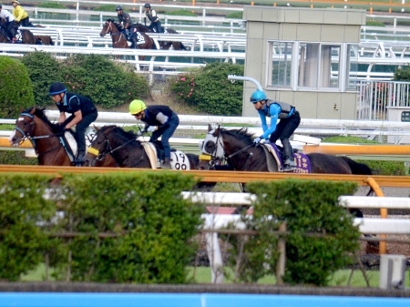 キタサンブラック 宝塚記念追い切り速報 栗東トレセンニュース 競馬ニュース Netkeiba Com