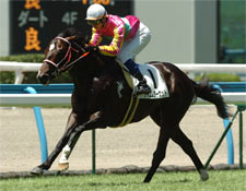 テイエムターゲットが突き放し快勝/小倉新馬