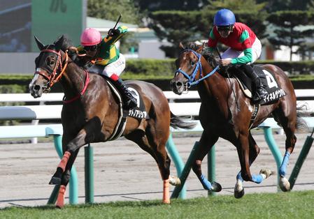 【コスモス賞】サトノアリシア首差競り勝ち　１番人気に応える