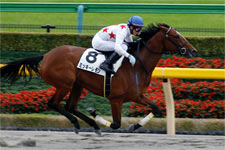 ミッキーレモンが5馬身差で圧勝/東京新馬
