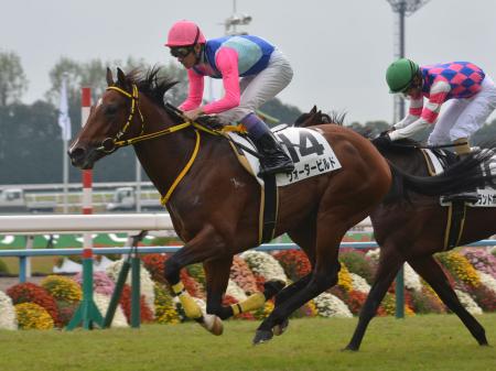 3番人気ウォータービルドが初陣飾る 京都新馬 競馬ニュース Netkeiba Com