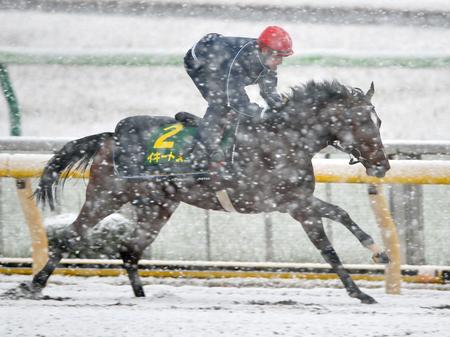 Jc イキートス 師は状態に満足 雨を味方に一発狙う 競馬ニュース Netkeiba Com