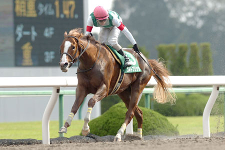 ゴルトブリッツ＆田辺、人馬共に重賞初制覇/アンタレスS | 競馬ニュース - netkeiba