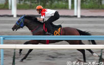 北九州記念・有力馬追い切り情報