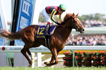 皐月賞馬オルフェーヴルなど22頭が登録/日本ダービー