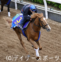 オルフェーヴル2冠へ、鞍上池添も納得の最終追い