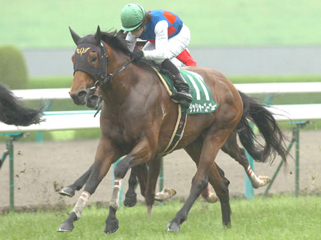 トップハンデのダッシャーゴーゴーが快勝/CBC賞