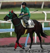阿蘇S直前情報・エドモンダンテスなど