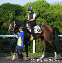 札幌記念・有力馬情報(1)キングトップガンなど