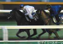 セントライト記念有力馬追い切り情報
