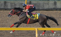 京成杯AH・追い切り情報(1)フィフスペトル
