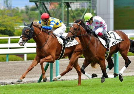 【ＰＯＧ】リュクスポケットゴール前差し返し勝負根性魅せＶ