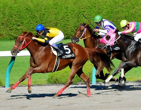 【ヤマボウシ賞】ドンフォルティス 直線一気で２勝目　武豊「かなり能力ありそう」