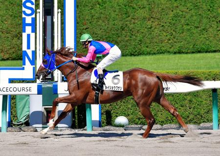 【ＰＯＧ】メイショウワザシ ３馬身半差で快勝　秋山「期待していた」