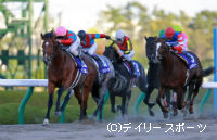 連覇のトランセンド、フェブラリーSから始動/JCダート | 競馬ニュース