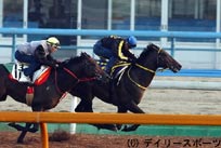 菊花賞木曜追い(1)ドリームパスポート「これで決着つく」