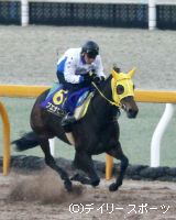 ブエナビスタ 競馬 写真立て 記念 盾 ブエナビスタ 競馬 写真立て 記念 盾 ブエナビスタ 競馬 写真