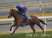 ペルーサ、安藤勝己騎手は成長を実感/有馬記念