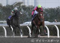 スマートファルコン9連勝、ドバイWC挑戦へ/川崎記念