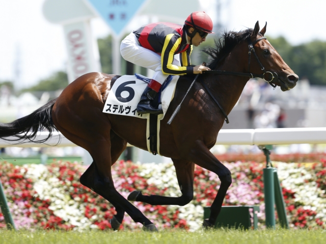 2歳gi 朝日杯fs ハートレー復帰のディセンバーsなど 本日の注目ポイント 競馬ニュース Netkeiba Com