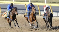 共同通信杯・追い切り情報アーカイブなど