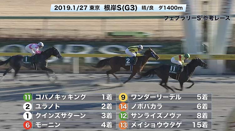 レース映像で振り返る！フェブラリーS参考ステップレース