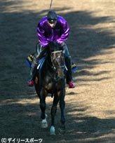 ディープインパクト情報・凱旋門賞「失格」決定