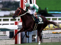 鳴尾記念、8歳馬メジロマントル重賞初制覇
