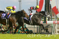 高松宮記念・快勝のカレンチャン秋は世界へ