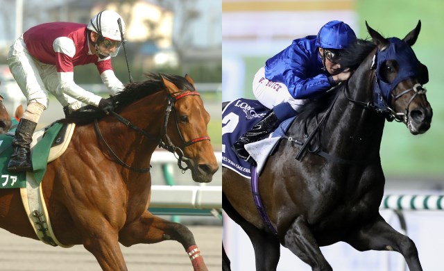 モハメド殿下所有馬の名義がゴドルフィンに 日本でもロイヤルブルーをイメージした勝負服に 競馬ニュース Netkeiba Com