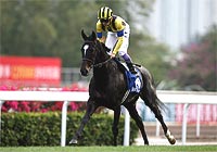 ダンスインザムードが引退、繁殖入り | 競馬ニュース - netkeiba